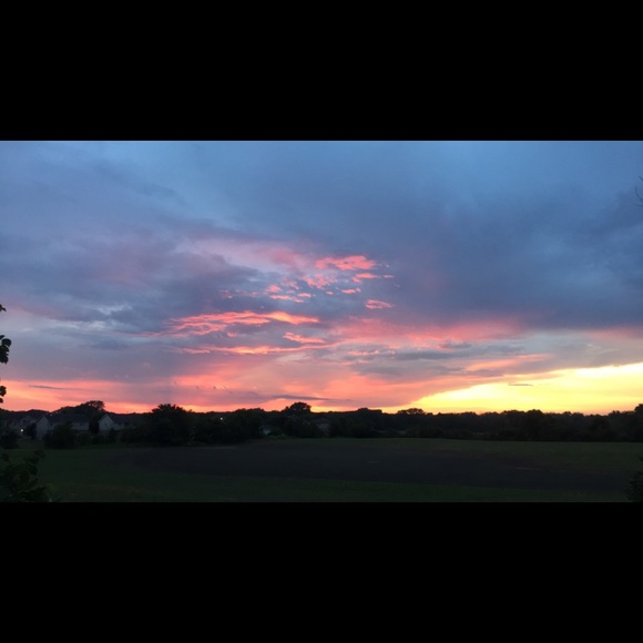 Meet your Posher, Emmerson - Picture 1 of 1